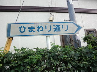 ひまわり通り.jpg