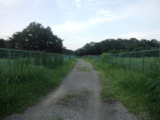 砂利の抜け道.jpg